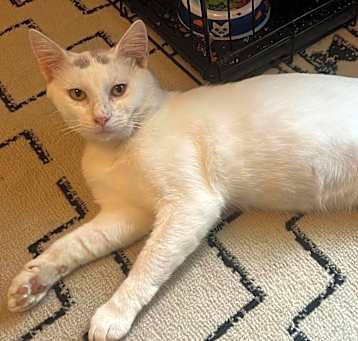 Photo of Bug
