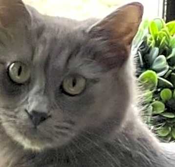 Photo of Isabeau aka Izzy