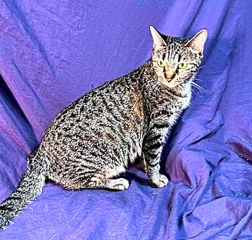 Photo of Kiko
