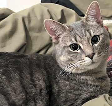 Photo of Blizzy