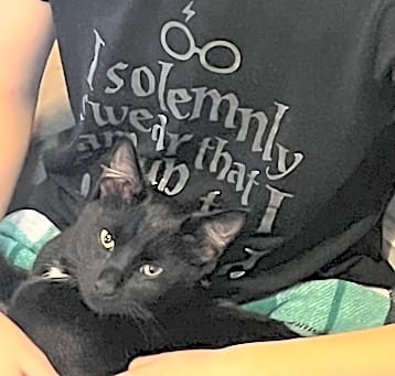 Photo of Loki