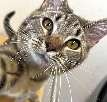 Photo of Toots
