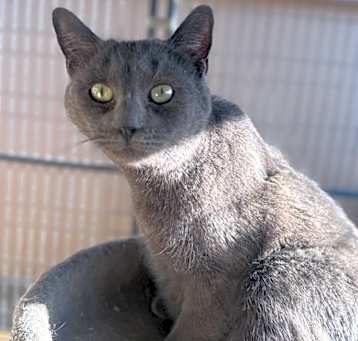 Photo of Oxy