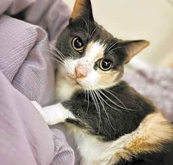 Photo of Ethel