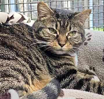 Photo of Belle