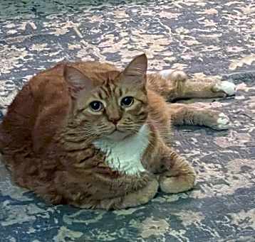 Photo of Zeb