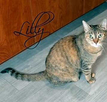 Photo of Lilly *SPONSORED*