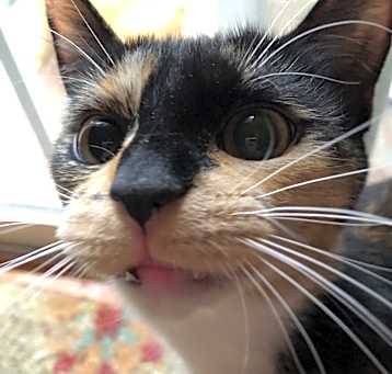 Photo of Wilma