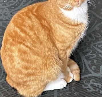 Photo of Bruce