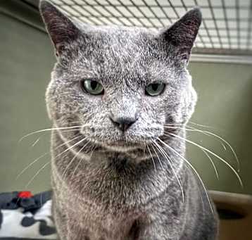 Photo of Nimbus