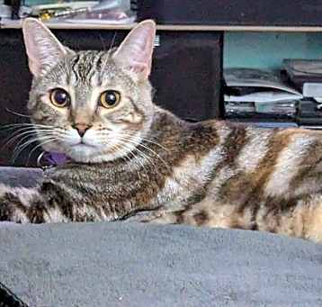 Photo of Lizzy
