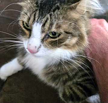 Photo of Cautious
