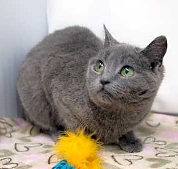 Photo of Lady Guinevere