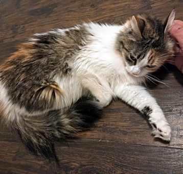 Photo of Gabby