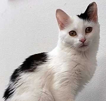 Photo of Twila