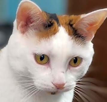 Photo of Bridget