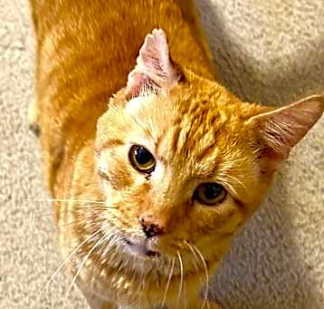 Photo of Jethro