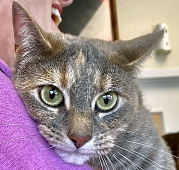 Photo of 2025-05 Itty Bitty Bea