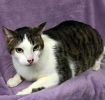 Photo of Twix