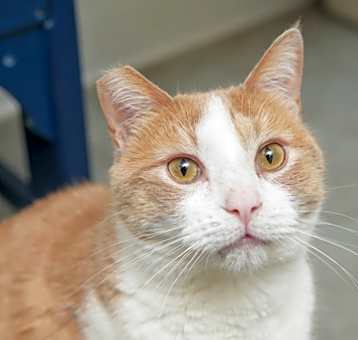 Photo of Sherbie