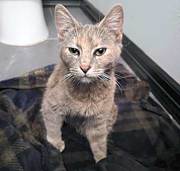 Photo of Lola