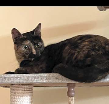 Photo of Beverly (Bev)
