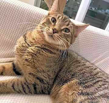 Photo of Leo