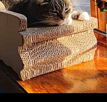 Photo of Abby