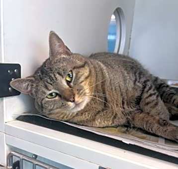 Photo of Simon
