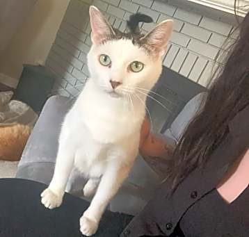 Photo of Bella