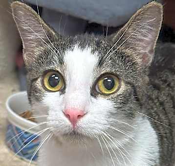 Photo of Clyde