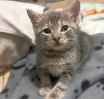 Photo of Tina