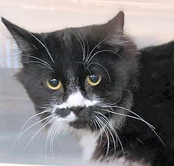 Photo of Tony Pawz