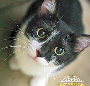 Photo of Wilma