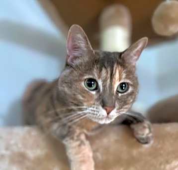 Photo of Sassy Pants