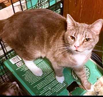 Photo of Kiwi