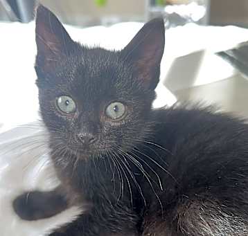 Photo of Lucy