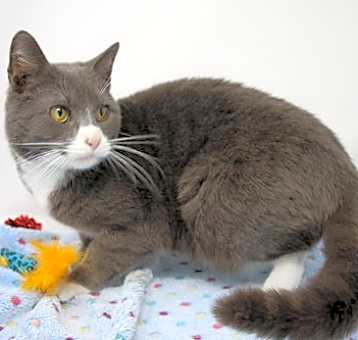 Photo of Dusty Micky