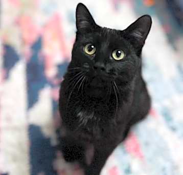 Photo of Millie