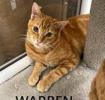 Photo of Warren