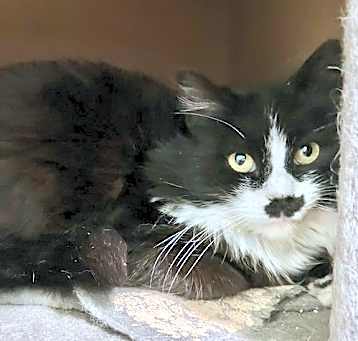 Photo of Groucho