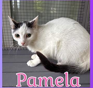 Photo of Pamela