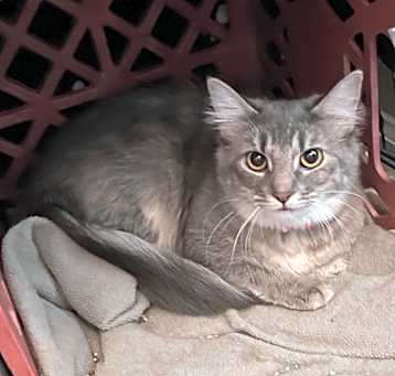 Photo of Annabelle "Bella" Rayburn
