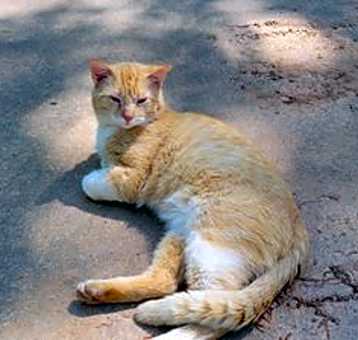 Photo of Stanley