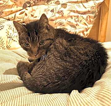 Photo of Frasier