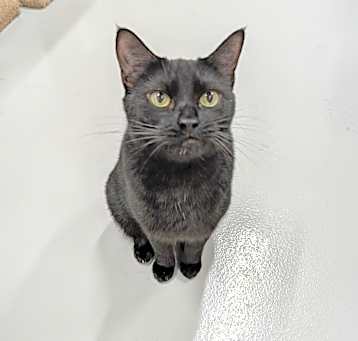 Photo of Meep