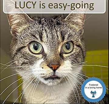 Photo of Lucy
