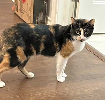 Photo of Stormi