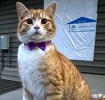Photo of Bootsie
