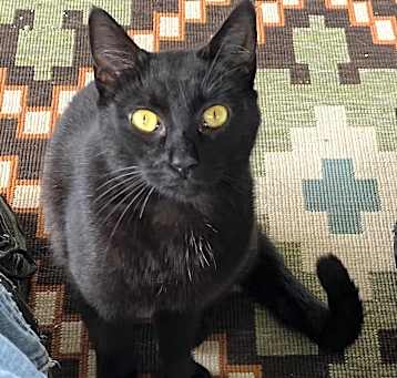 Photo of Missy